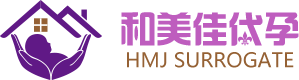广州和美佳公司网LOGO