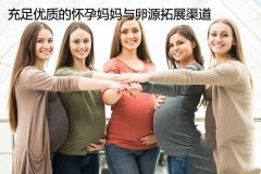 充足优质的怀代代妈与卵源拓展渠道