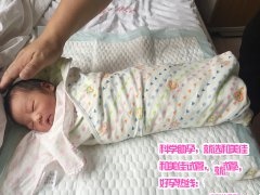 恭喜邓女士成功代妈