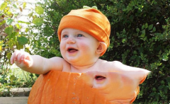 多囊备孕在什么情况下可以做试管婴儿